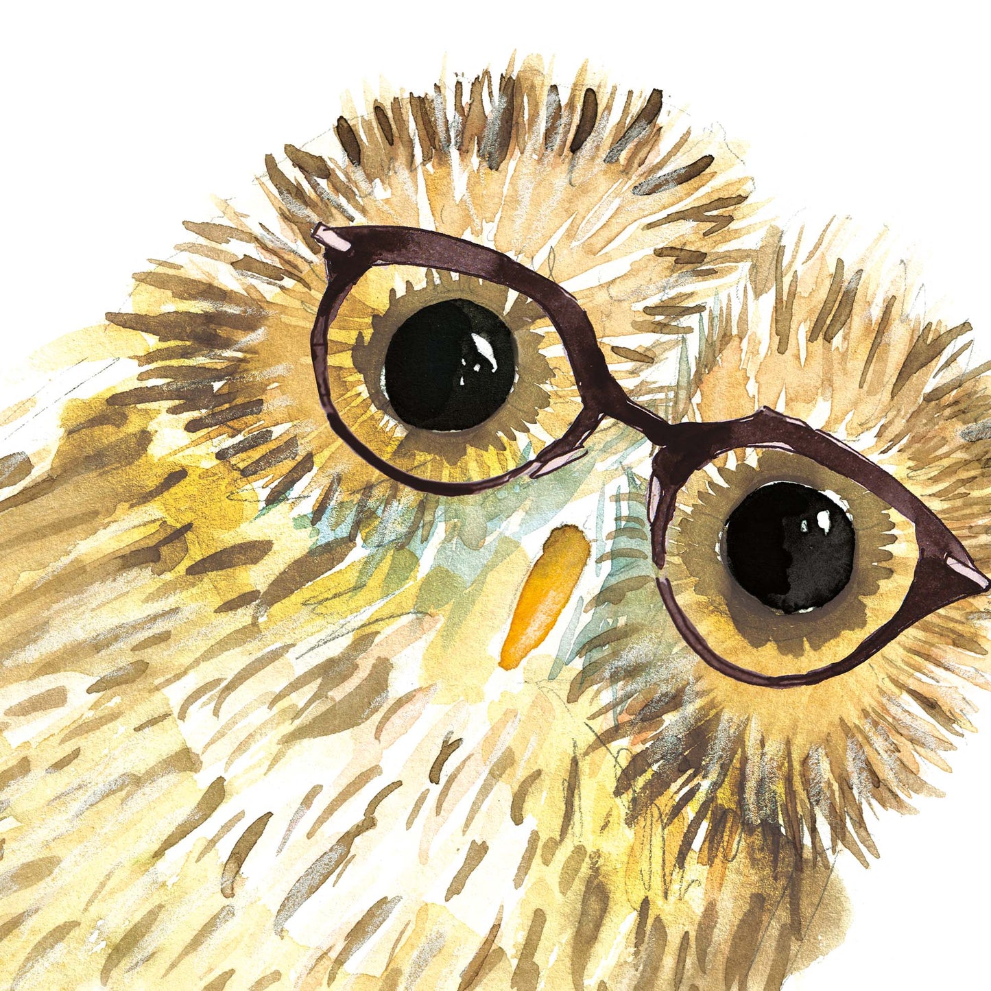 Owl in Glasses