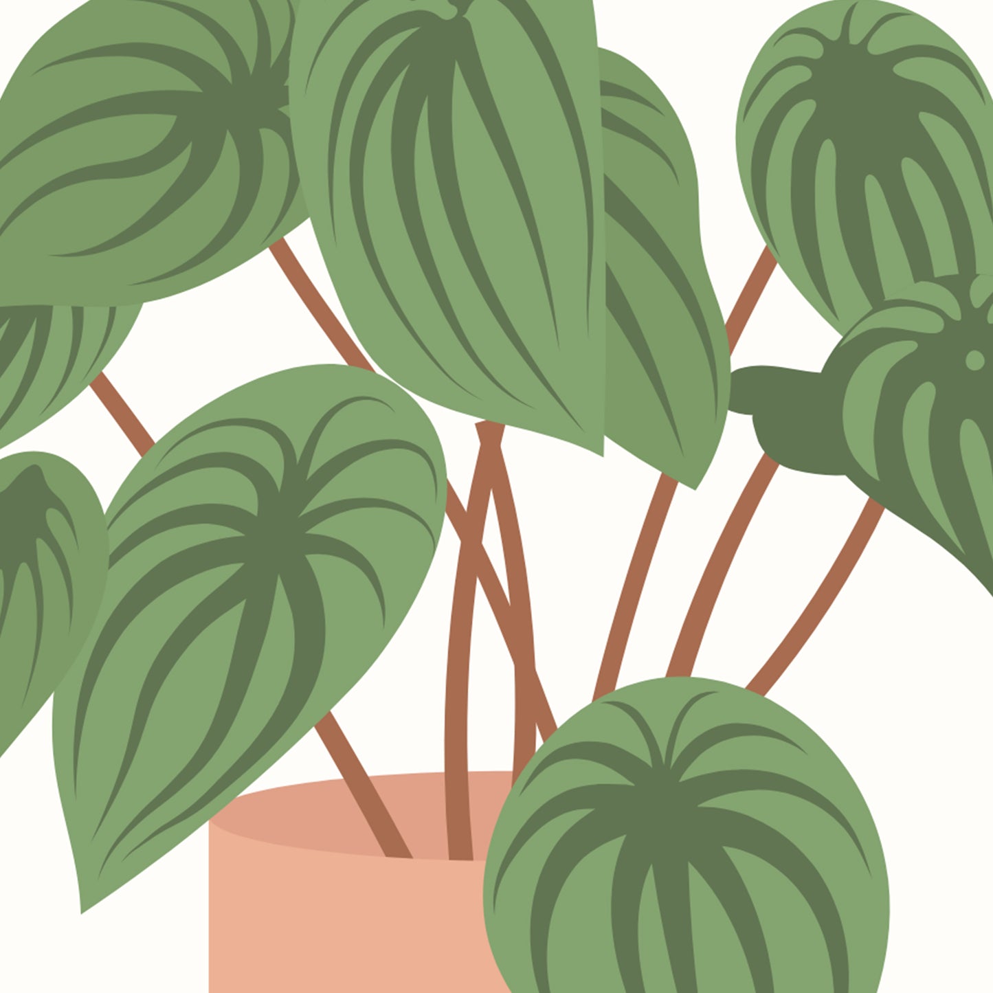 Plant Mom