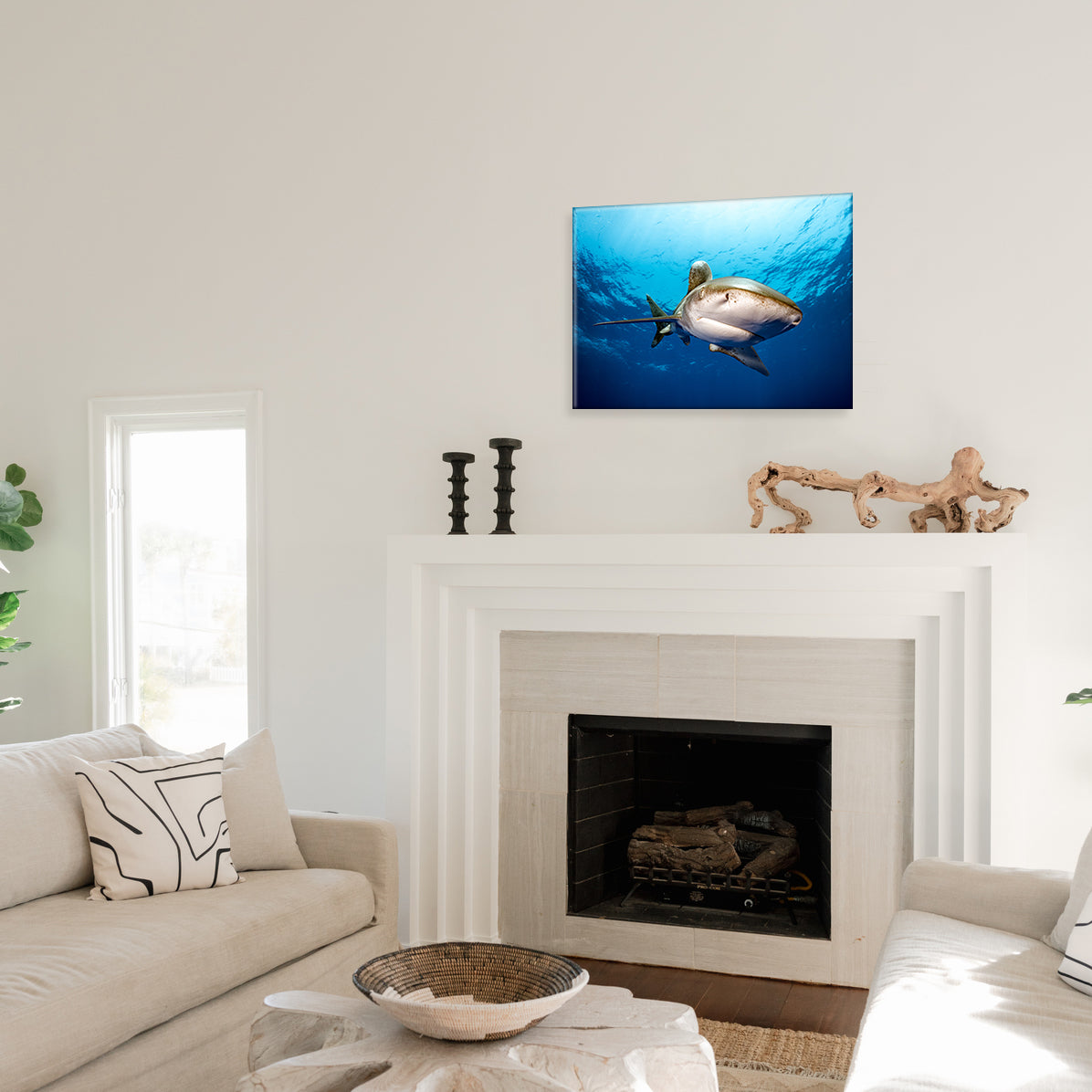 Living room with a fireplace and a shark glass print on the wall