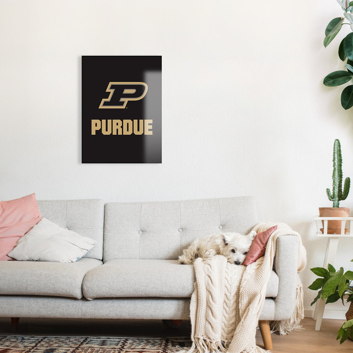 Purdue P
