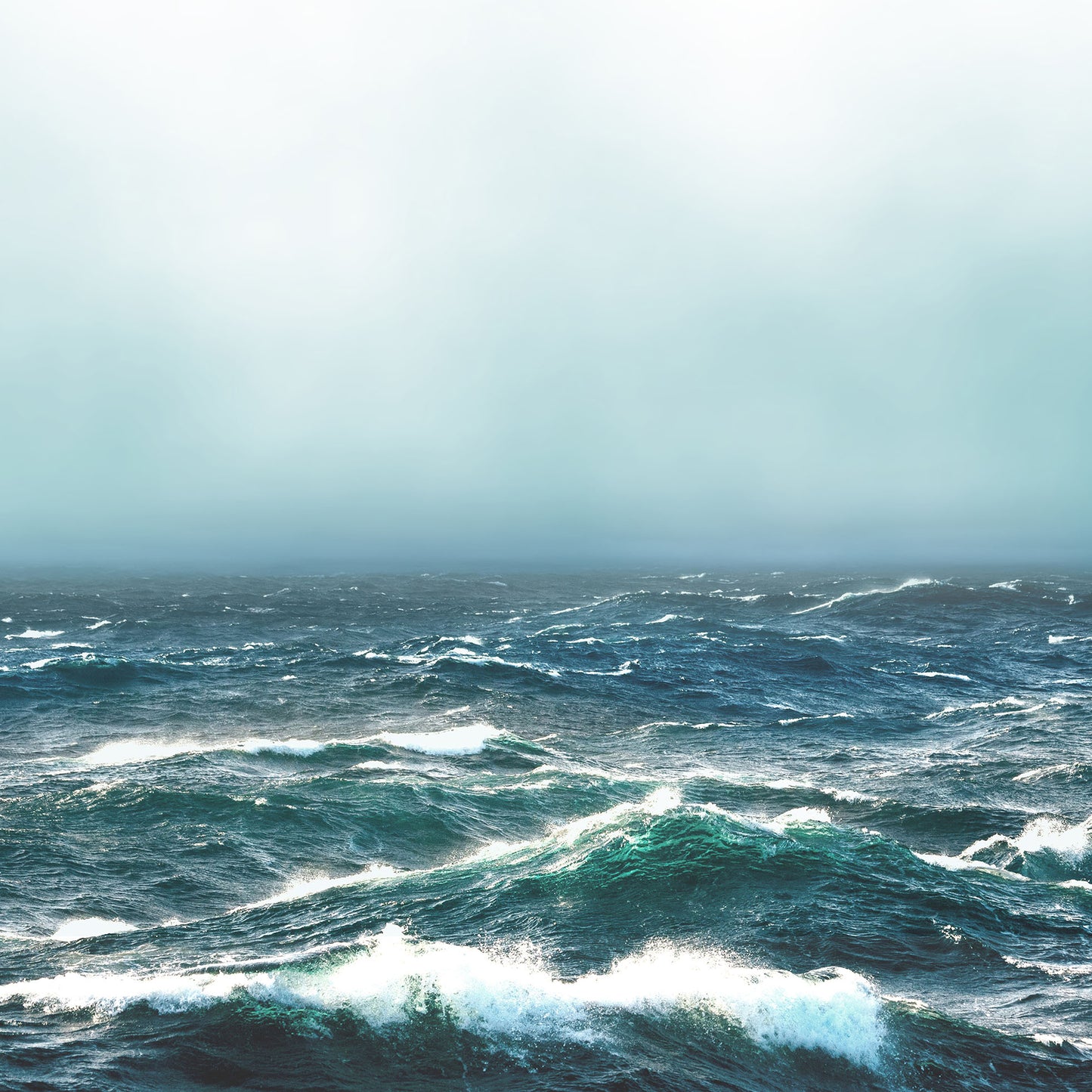 Roaring Sea