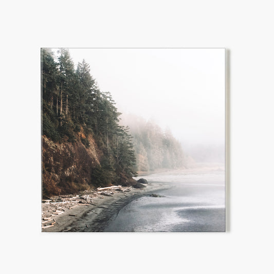 Salt Creek III Color