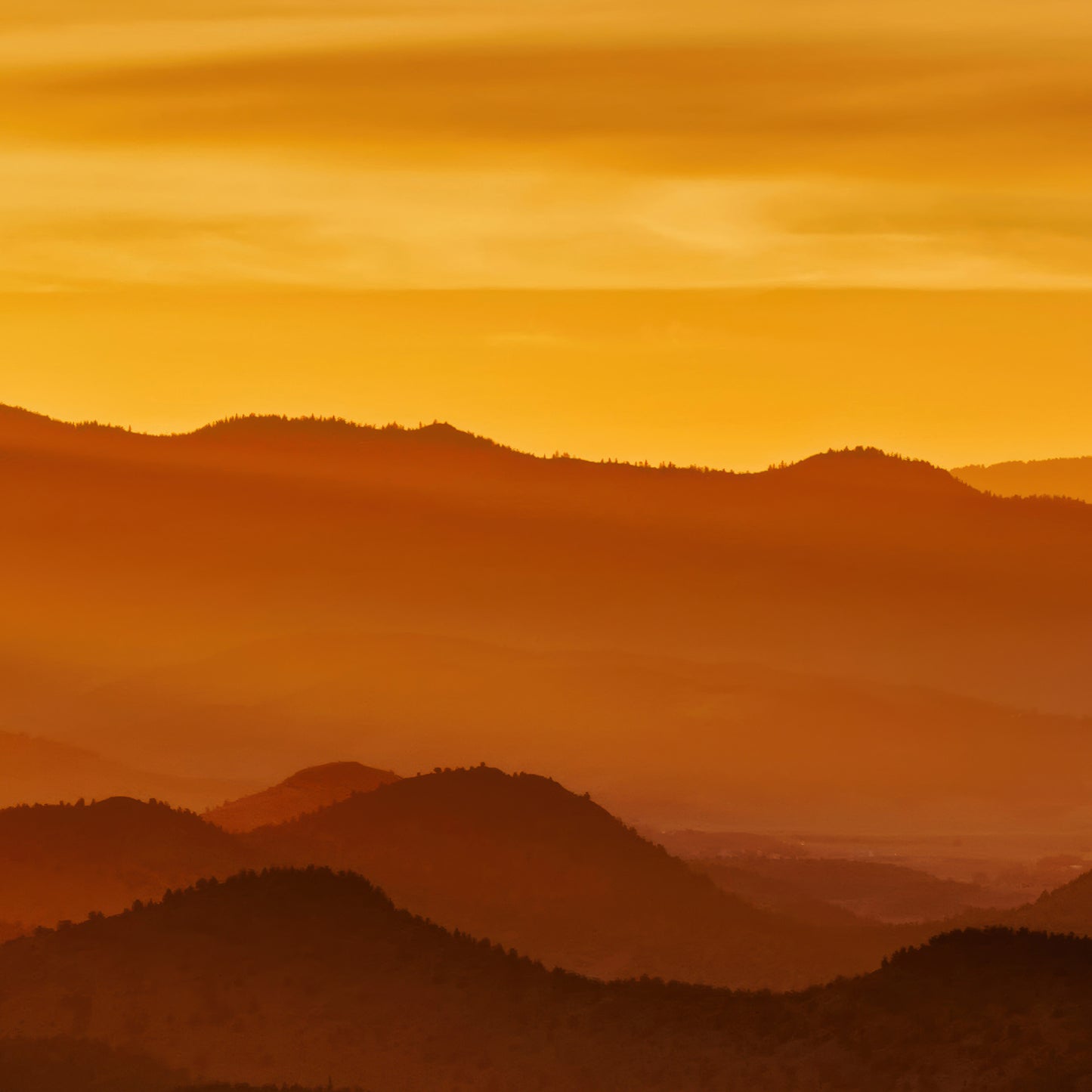 Golden Hills Triptych