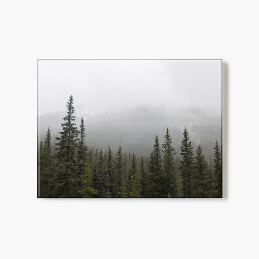 Snowy Skyline in Banff