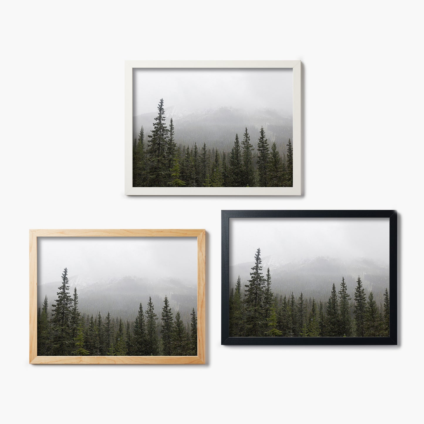 Snowy Skyline in Banff