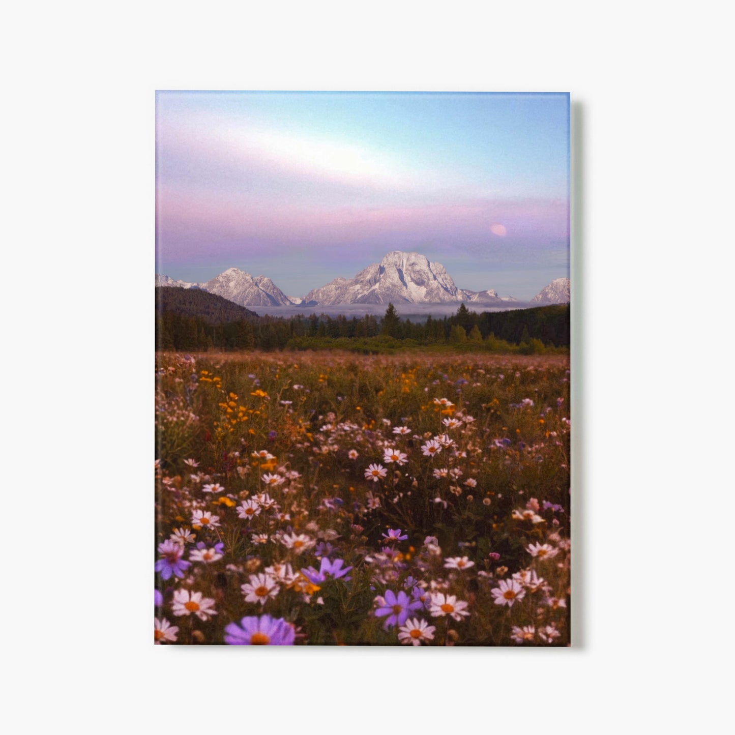 Soft Frontier