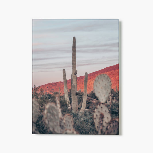 Sunsets and Saguaros II