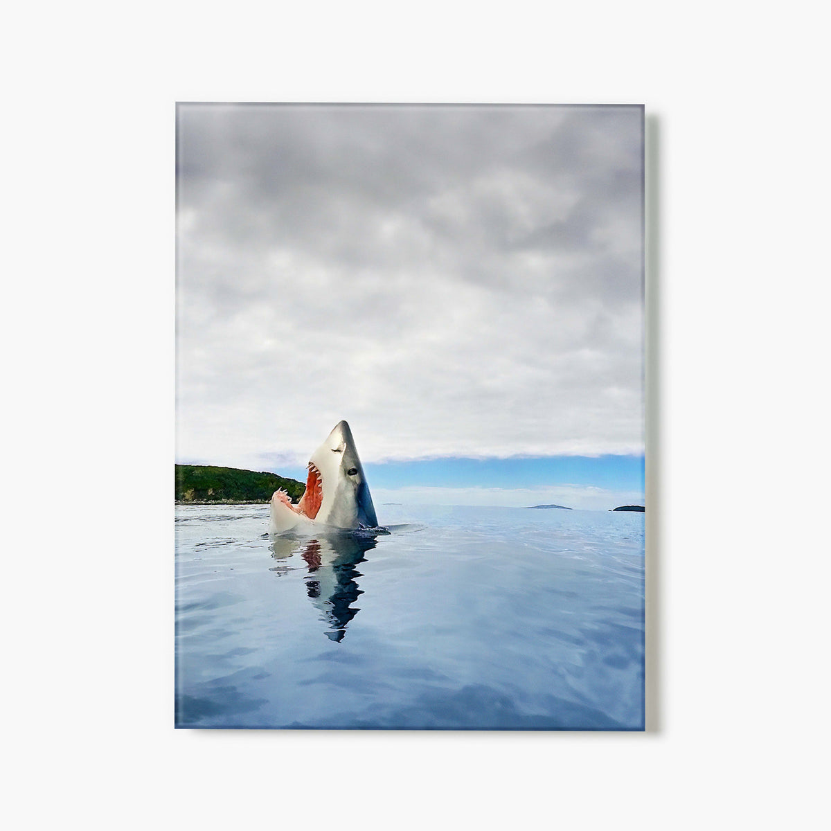 Glass print of shark emerging from the water with a cloudy sky in the background