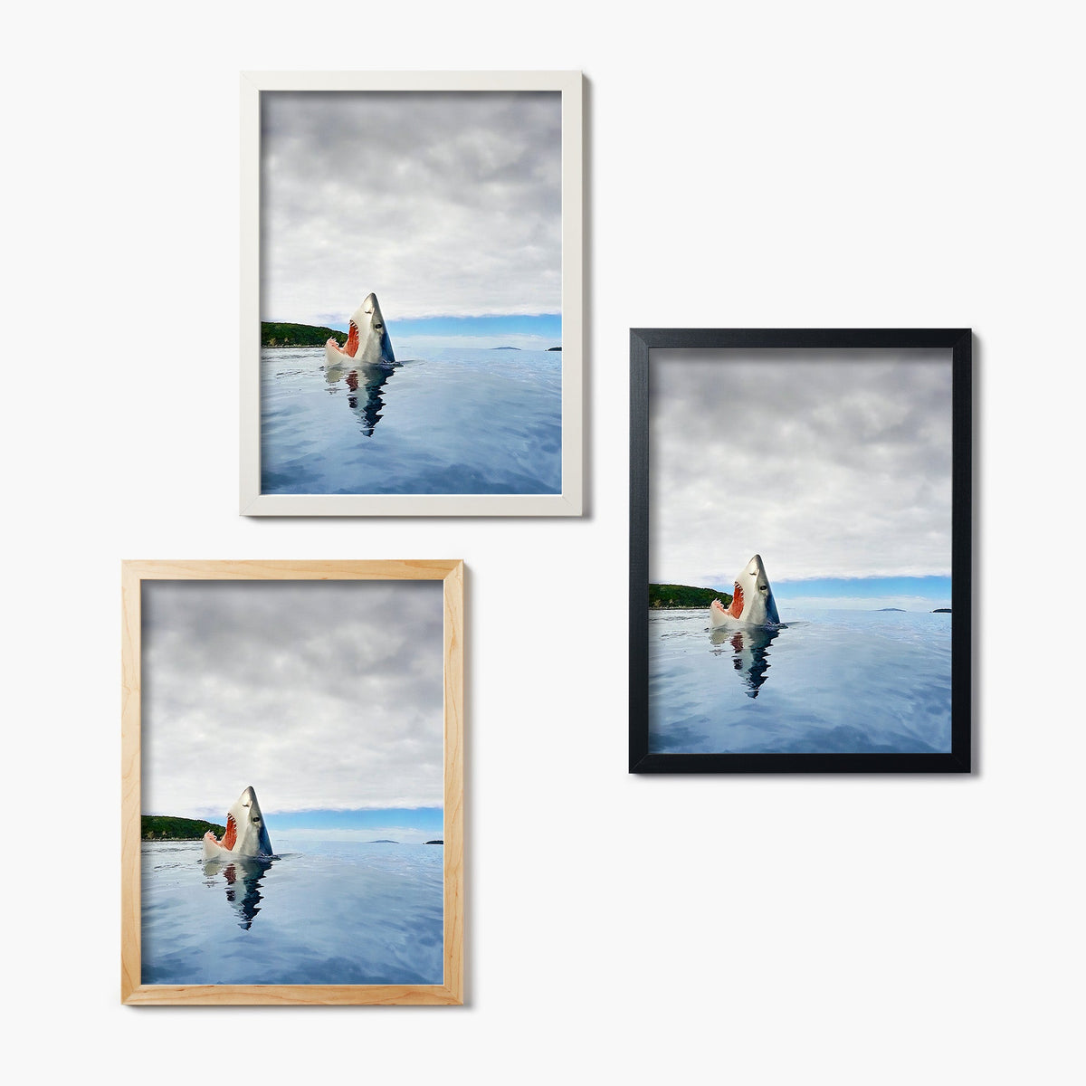 Three framed glass prints of a shark's head emerging from water on a white wall.