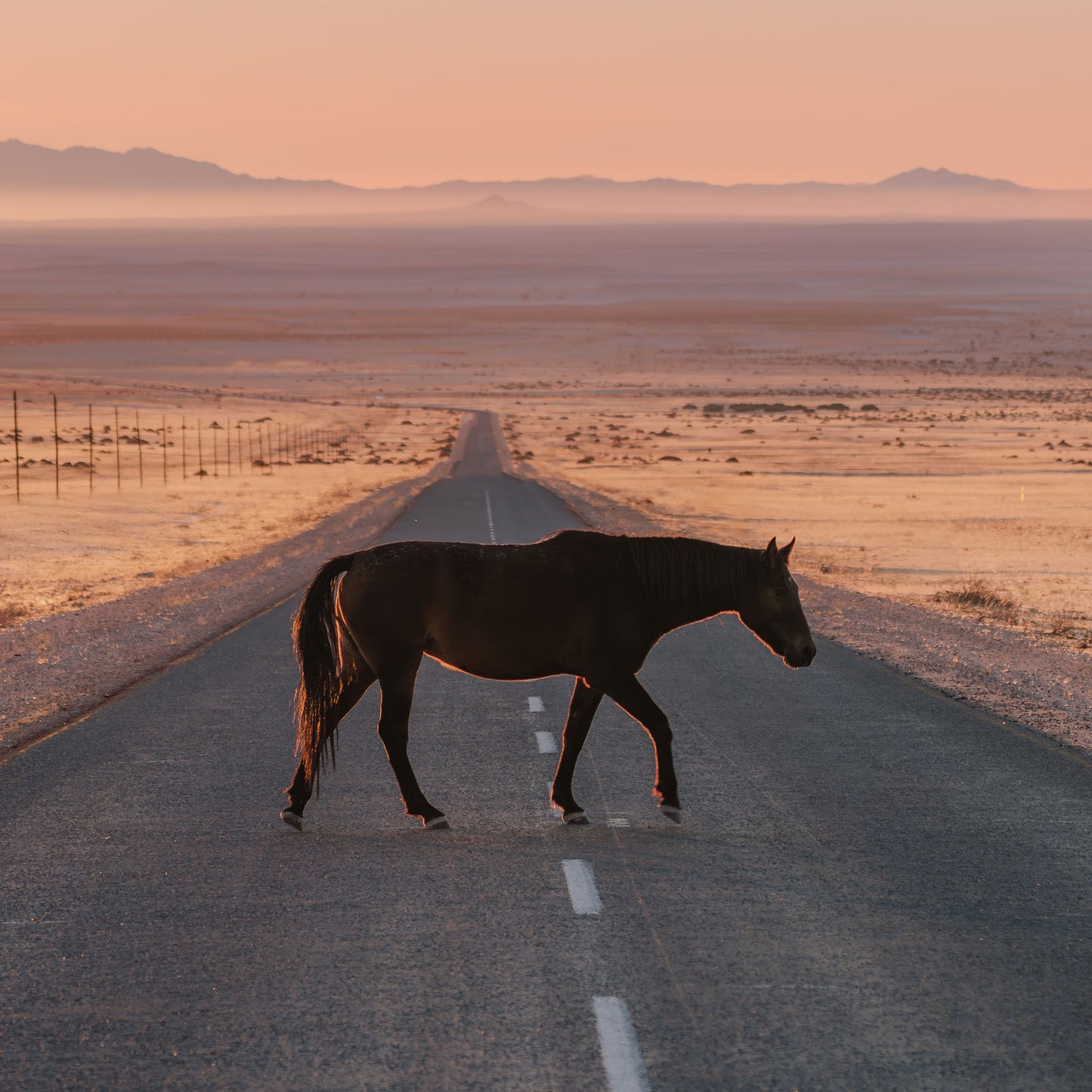 The Road Home