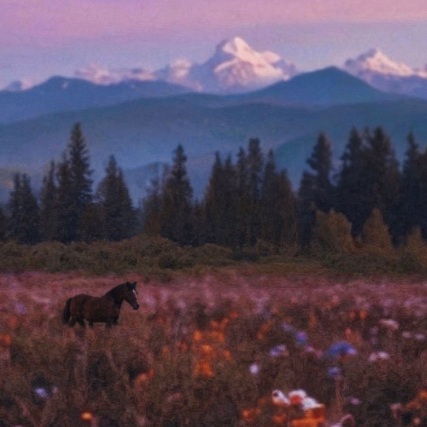 Twilight Frequencies