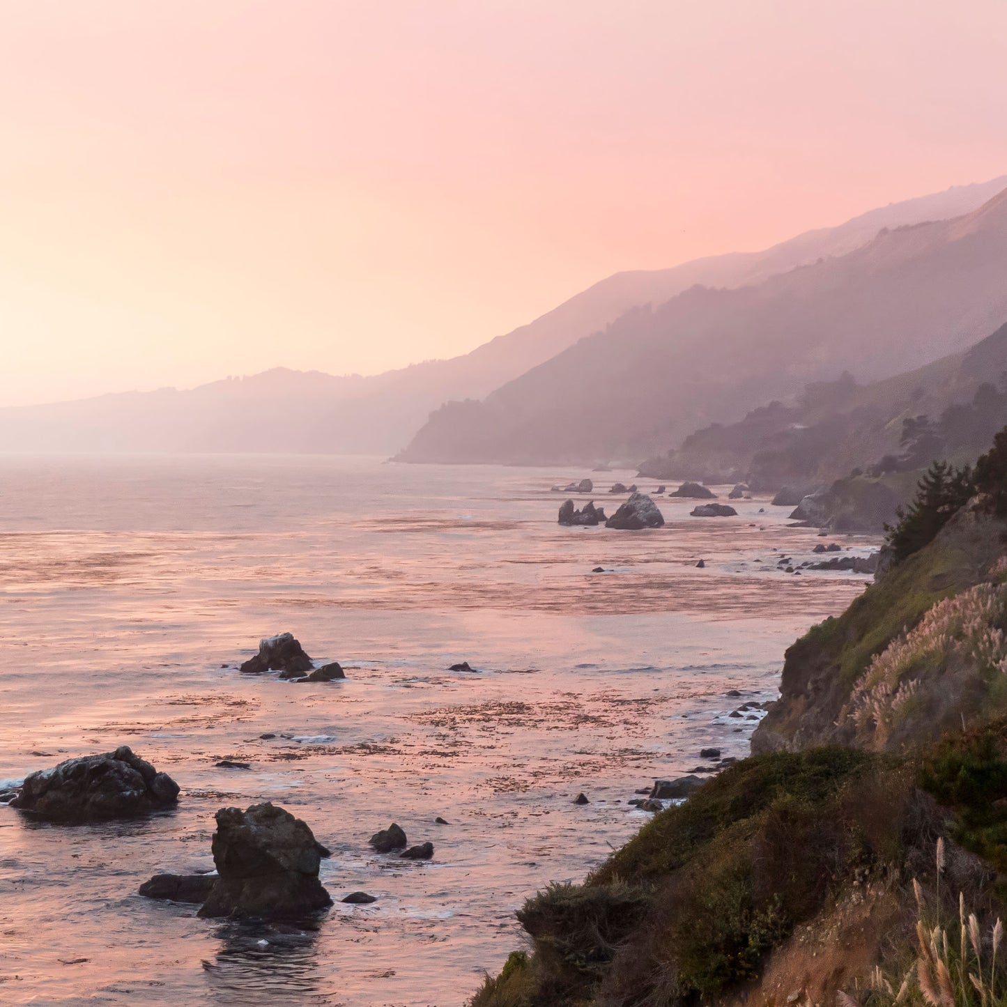 Twilight Over Rosy Tides