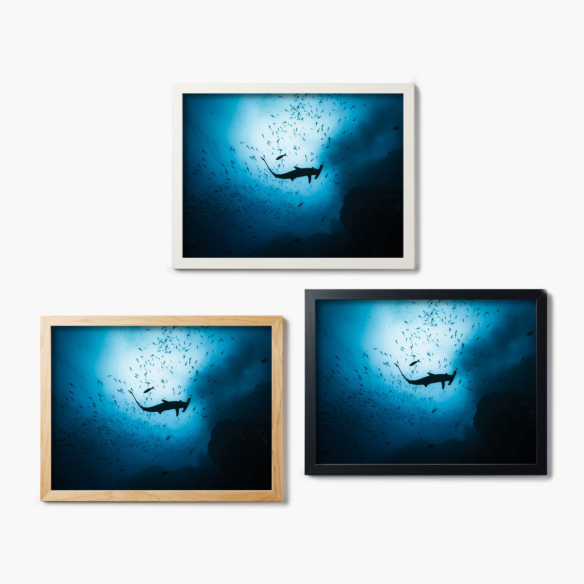Three framed glass prints of a hammerhead shark silhouette against a blue underwater background.