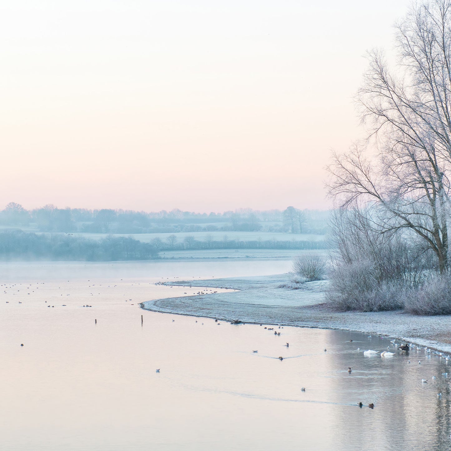 Winter River Walk