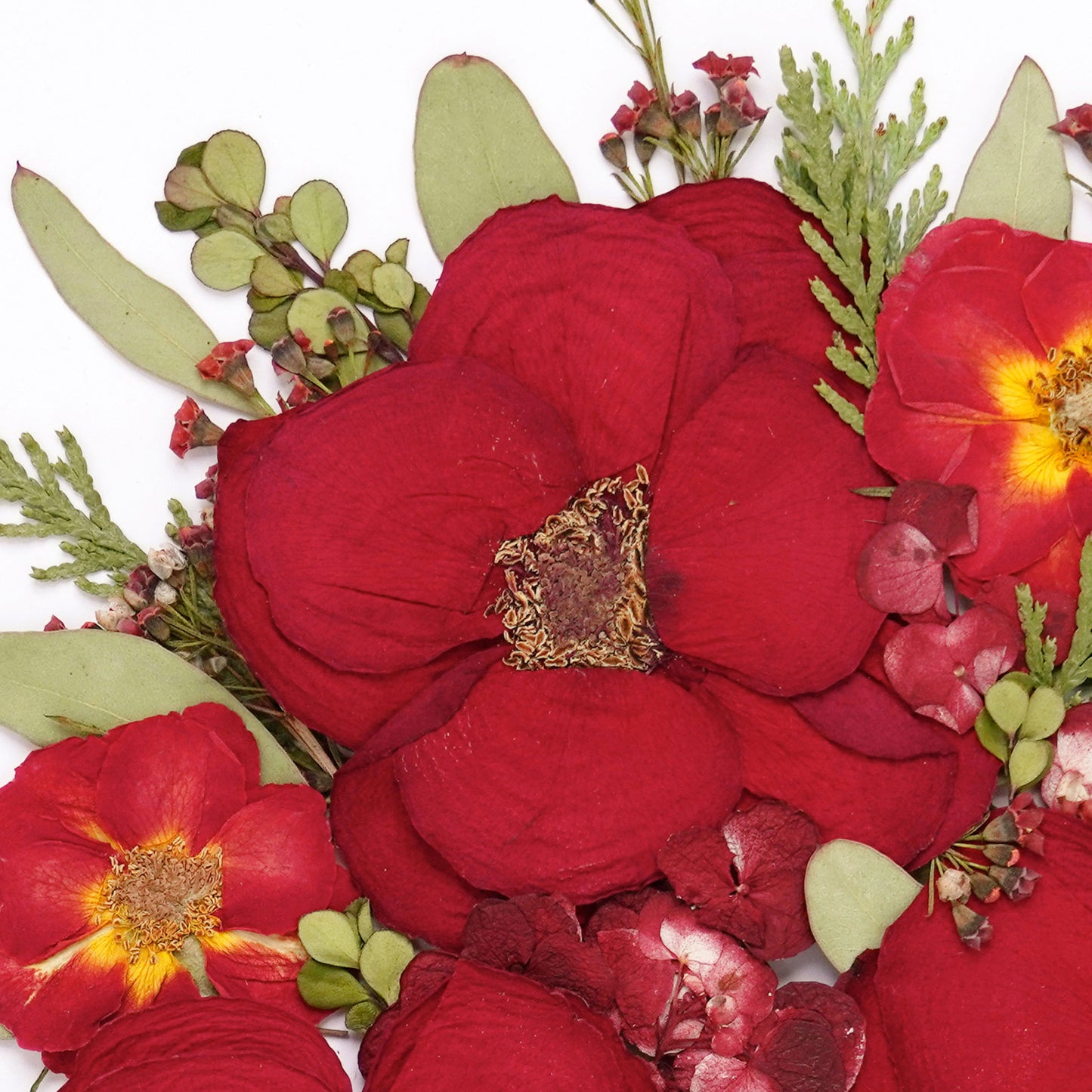 Wrapped In Red Pressed Floral Print