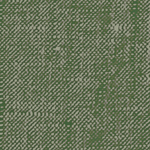 Digital Border
