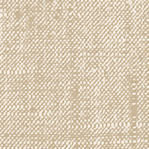Digital Border
