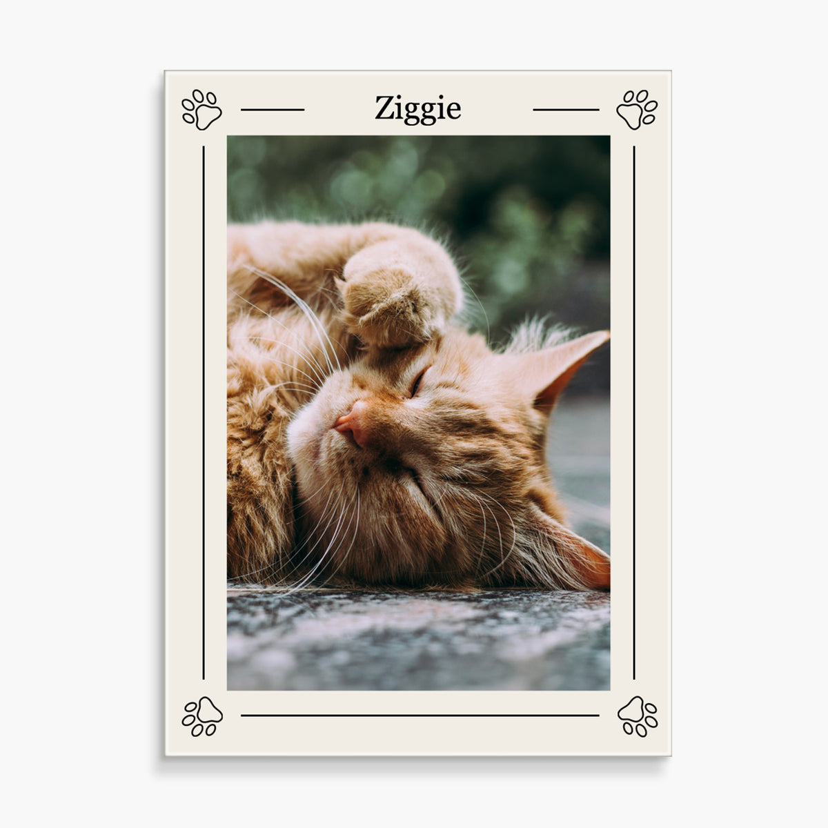 Custom Glass Prints | Pet Parent